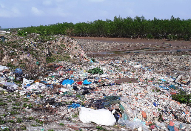 Thanh[-]Ho&aacute;:[-]Kinh[-]h&atilde;i[-]r&aacute;c[-]thải[-]quấn[-]chặt[-]c&acirc;y[-]rừng[-]ph&ograve;ng[-]hộ[-]ven[-]biển